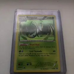 Pokemon TCG Serperior Black & White BW20 Holo Promo Promo - Image 1