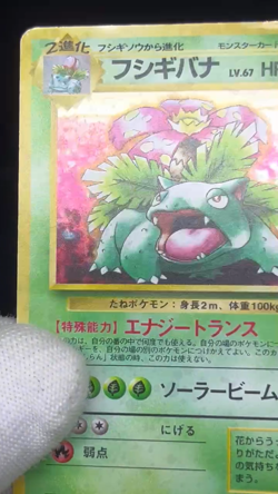 (MP/HP) Blastoise Venusaur Trade Please Holo CD Promo 1998 Japanese Pokemon Card - Image 2