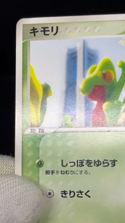 (LP-) Treecko 037/PCG-P Yokohama Pokemon Center PROMO Japanese Pokemon card - Image 2