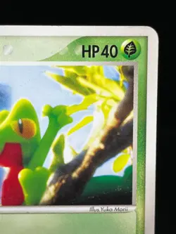 (LP-) Treecko 037/PCG-P Yokohama Pokemon Center PROMO Japanese Pokemon card - Image 5