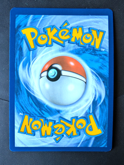 CHARIZARD VSTAR SWSH262 SWSH: SWORD & SHIELD PROMO CARDS HOLO NM-MINT - Image 2