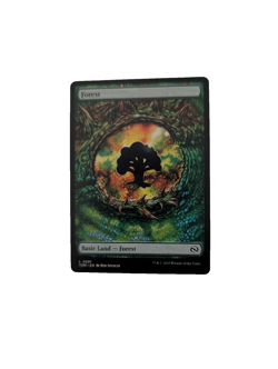 Forest (0291) Tarkir: Dragonstorm Regular - Image 1