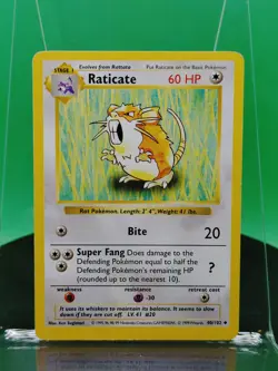 Raticate 40/102 Shadowless Base Set Uncommon 1999 English Pokemon TCG WoTC - Image 3