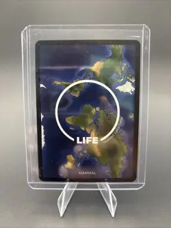 Life TCG Trading Card Game 1st Edition Rare 20/100 Wild Bactrian Camel Non Holo - Image 2