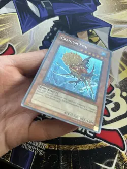 Cranium Fish TAEV-EN083 Secret Rare 1st Edition Yugioh LP (STH) - Image 3