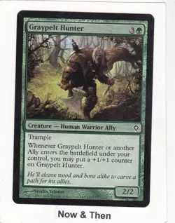 Magic MTG Worldwake: Foil: Graypelt Hunter - Image 1