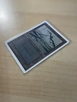 Swamp (C) Unlimited Edition Regular - Image 3