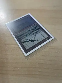 Swamp (C) Unlimited Edition Regular - Image 4