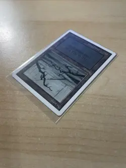 Swamp (C) Unlimited Edition Regular - Image 5