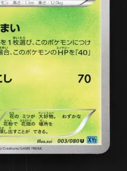 Butterfree 003/080 Unlimited NM Wild Blaze Japanese Pokemon Card TCG - Image 3