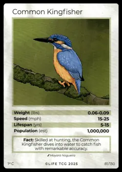 Life TCG Birds 1st Edition Non-Holo Commons #81-130 Near Mint Pick Your Card - Image 2
