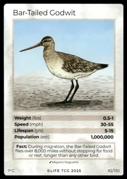 Life TCG Birds 1st Edition Non-Holo Commons #81-130 Near Mint Pick Your Card - Image 4