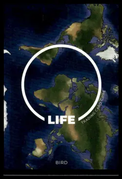 Life TCG Birds 1st Edition Non-Holo Commons #81-130 Near Mint Pick Your Card - Image 5