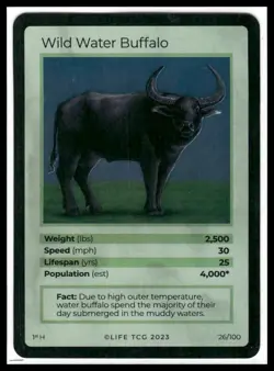 Life TCG Mammals 1st Edition Uncommon #26-50 Holo And Non Holo NM Pick Your Card - Image 3