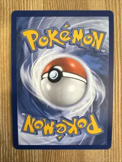Mega Camerupt ex 022/132 Double Rare - Pokemon TCG Mega Evolution - NM - Image 2