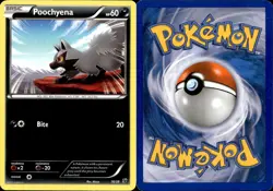 Pokemon Poochyena 16/39 Kalos Starter Set LP/NM - Image 1