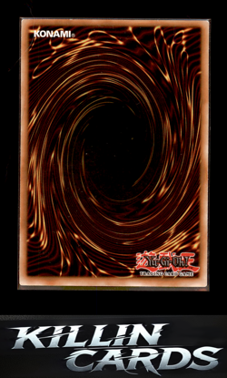 Salamangreat Sunlight Wolf OP10-EN009 Super Rare OTS Tournament Pack 10 YuGiOh C - Image 2