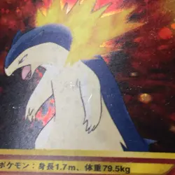 Auth Pokemon Card Cyndaquil,Quilava,Typhlosion Old Back Japanese 3set from Japan - Image 3