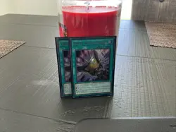 Yu-Gi-Oh! Triple Tactics Talent MAMA-EN090 Magnificent Mavens 1st Edition - Image 1