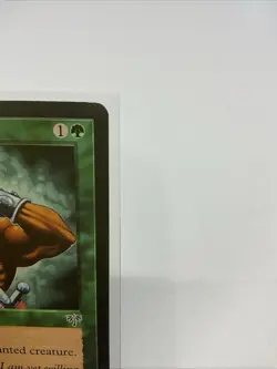 Regeneration Mirage Regular - Image 2