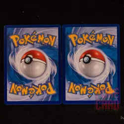 2 PCS SET |Venusaur VMAX HR+RRR SET | CS3aC-161/125 Pokemon Card Chinese#1 - Image 2
