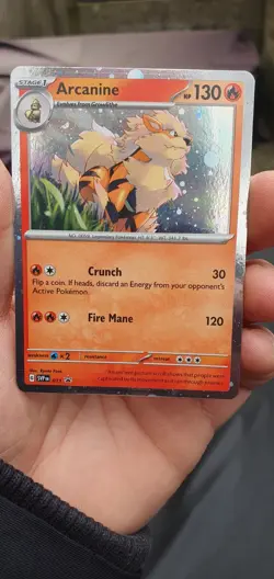 Pokemon TCG Arcanine Svp Black Star Promos SVP011 Holo Promo Promo - Image 1