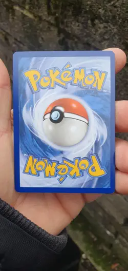 Pokemon TCG Arcanine Svp Black Star Promos SVP011 Holo Promo Promo - Image 3