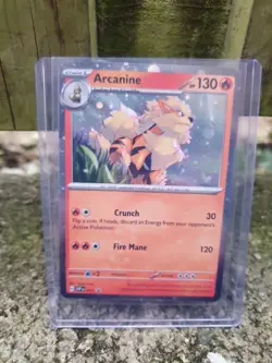Pokemon TCG Arcanine Svp Black Star Promos SVP011 Holo Promo Promo - Image 4