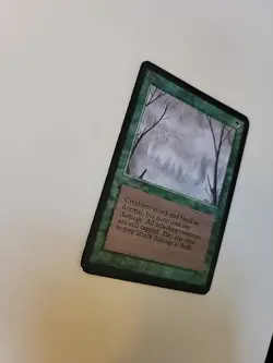 Magic The Gathering Alpha Set Fog MP Condition OC3369 - Image 3
