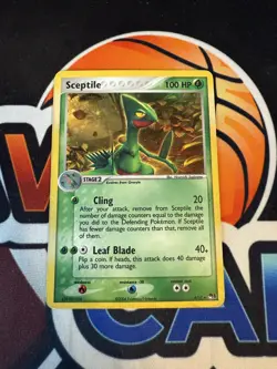 Pokemon TCG Sceptile Holo Rare 4/17 Pop Series 1 - Image 1