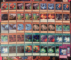 YUGIOH - WATER DRAGON DINOSAUR DECK - DUOTERION, HYDROGEDDON, DOGORAN, CLUSTER - Image 1