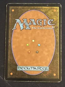 1x Indestructibility (17) Core Set 2010 M10 HP MTG Magic the Gathering x1 MKE - Image 2