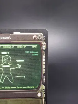 Inventory Management (Showcase) Universes Beyond: Fallout Regular 342 LP - Image 3