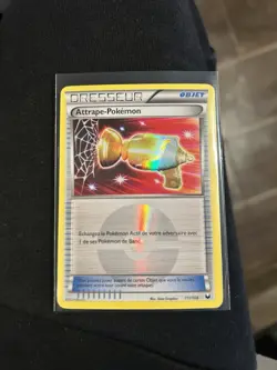 Pokemon TCG Pokemon Catcher | Secret Rare | Dark Explorers | 111/108 | French| M - Image 1