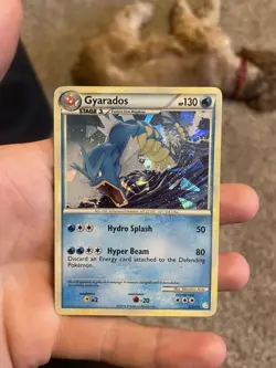 Gyarados 4/123 HeartGold SoulSilver HGSS 2010 Cracked Ice Pokemon Card TCG - Image 1