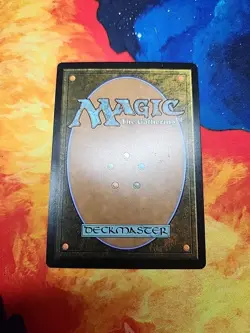 Natural Order - Eternal Masters (EMA) - LP - Image 2