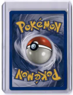 Shuckle 51/64 Common 1st Edition NM Pokemon Neo Revelation - Image 2