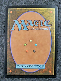 1x Hickory Woodlot - Mercadian Masques - NM - MTG MINT (DS3D1L1) - Image 2