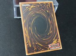 Yugioh - Red-Eyes Black Dragon (UR, JMP-002, MP) - Image 5