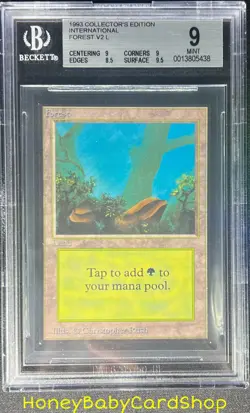 MTG International Edition (IE) 1993 Forest (A) BGS 9.0 MINT Old School 93/94 - Image 1