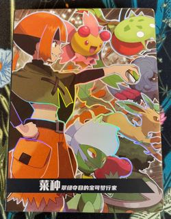 🔥PM-VS NO.018 Gym Badge Booklet Leafeon Roserade Non-TCG Pokemon Eif Origin 3.0 - Image 1
