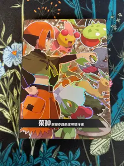 🔥PM-VS NO.018 Gym Badge Booklet Leafeon Roserade Non-TCG Pokemon Eif Origin 3.0 - Image 4
