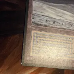 Tundra X1 Mtg German Black Border Revised Nm FBB - Image 3