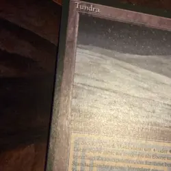 Tundra X1 Mtg German Black Border Revised Nm FBB - Image 4