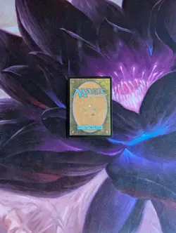 Wanderwine Prophets Lorwyn Regular NM!! - Image 2