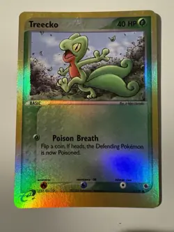 Vintage Pokemon Lot - (4 cards) - Hitmonchan, Mewtwo, Treecko, Charmeleon - Image 4