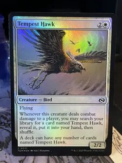 Tempest Hawk FOIL NM/M Tarkir Dragonstorm MTG Magic Card White Bird - Image 1