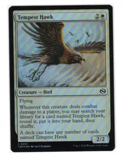 MTG - NM FOIL - Tempest Hawk - Tarkir: Dragonstorm 31 - Image 1