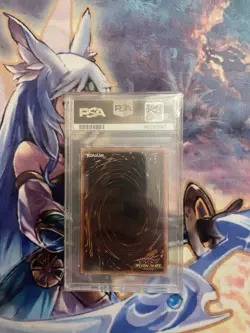 2021 YU-GI-OH! JPN RUSH DUEL PROMO #JP002 DARK MAGICIAN GIRL PSA 8 - Image 2