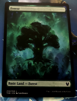 Forest [FULL ART] - Theros Beyond Death- MTG - MINT!! Pack Fresh!! - Image 1